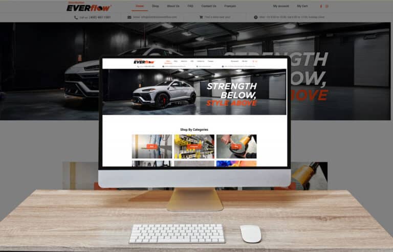 site-web-distribution-everflow